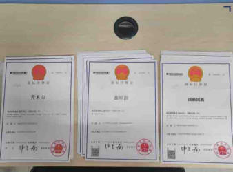 注冊公司 代理記賬公司注冊提供個體戶注冊、內資公司注冊服務